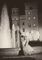 Palac Wojanow 35 Exterior evening B&W